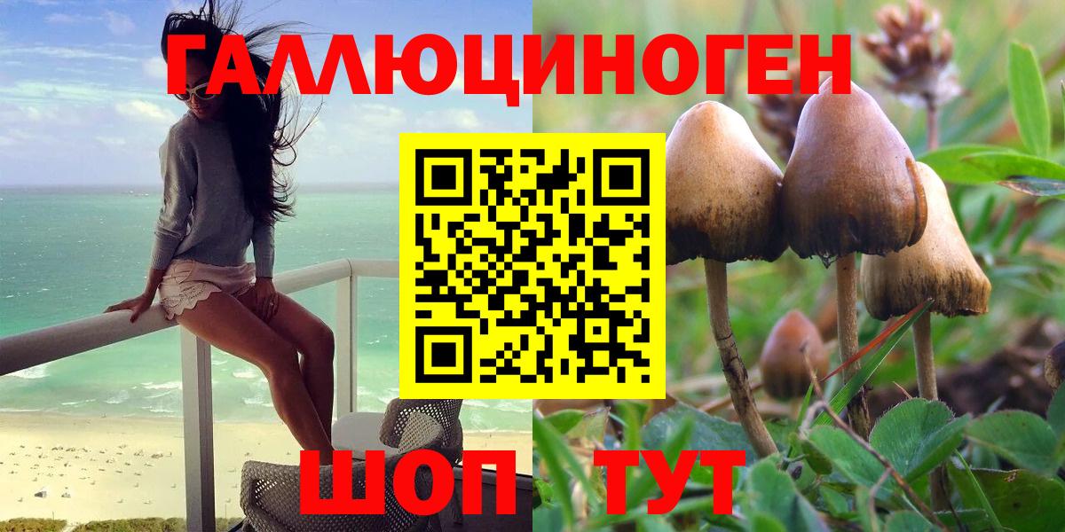 Галлюциногенные грибы прущие грибы Шебекино