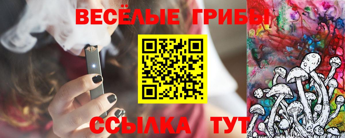 Шебекино  Галлюциногенные грибы MAGIC MUSHROOMS  Вход с VPN 
